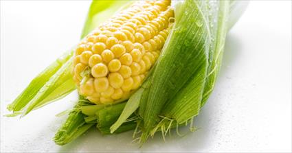 Corn Has Many Forms