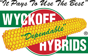 Wyckoff Hybrids
